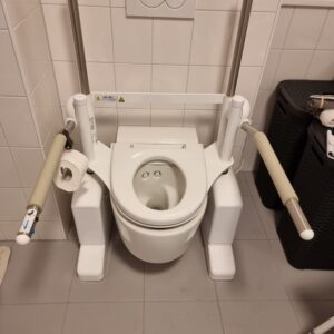 Aerolet Toilet Lift